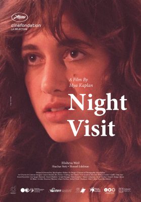 Night Visit Official Poster