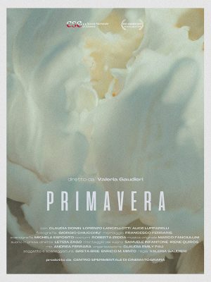 primavera - 7