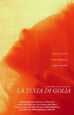 Testa Di Golia Poster