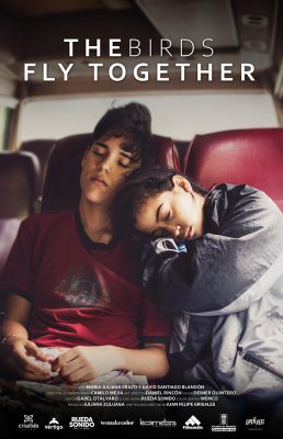 The birds fly together_Poster
