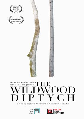 TheWildwoodDiptych_Poster