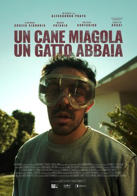 Un cane miagola un gatto abbaia - Poster