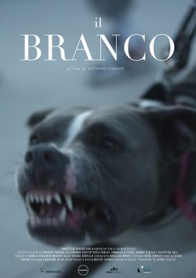 il-branco-Poster